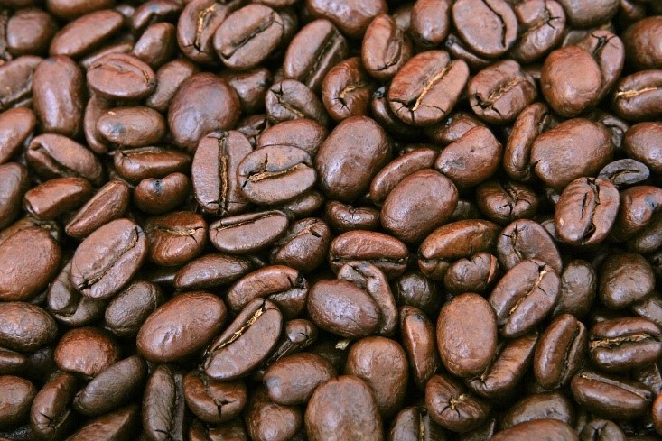 rainforest alliance fairtrade